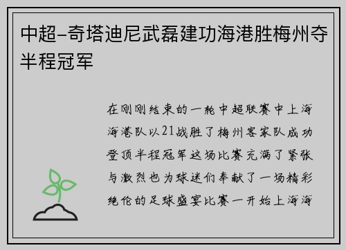 中超-奇塔迪尼武磊建功海港胜梅州夺半程冠军