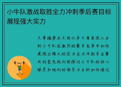 小牛队激战取胜全力冲刺季后赛目标展现强大实力