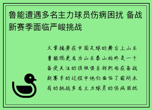 鲁能遭遇多名主力球员伤病困扰 备战新赛季面临严峻挑战