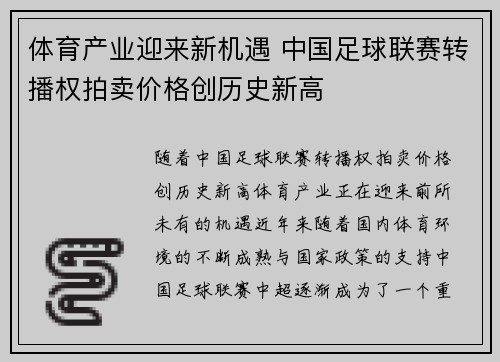 体育产业迎来新机遇 中国足球联赛转播权拍卖价格创历史新高